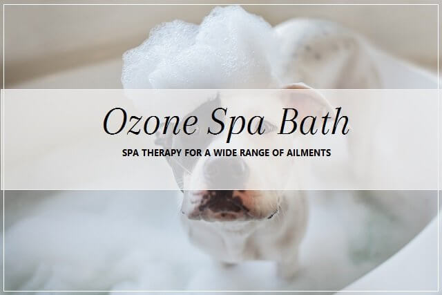 Ozone Spa Bath